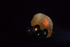 ビー玉と枯れ葉