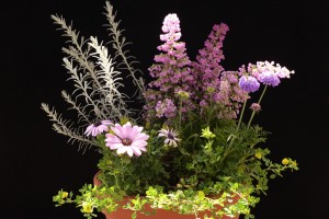 ガーデニングショップにて