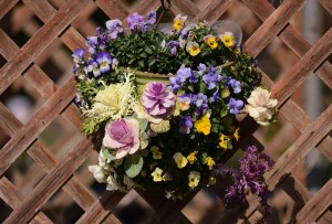 ハンギングバスケット