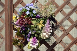 ハンギングバスケット