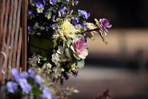 ハンギングバスケット