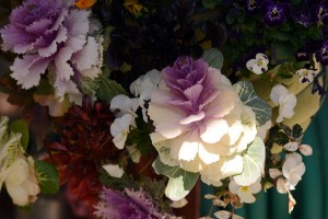 ハンギングバスケット