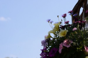 ガーデニングショップにて