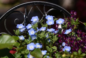 ガーデニングショップ