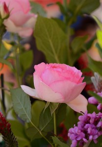 ガーデニングショップ