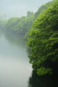 新緑の湖畔