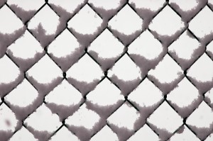 フェンスに積もる雪