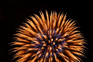 2014深谷市のグニョ花火