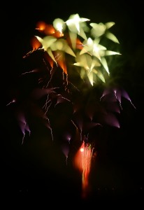 2014深谷市のグニョ花火