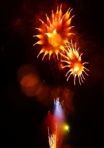 2014深谷市のグニョ花火