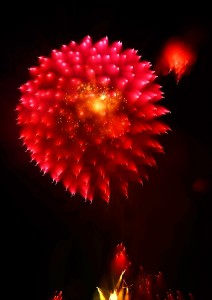 2014深谷市のグニョ花火