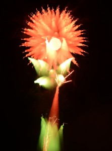 2014深谷市のグニョ花火
