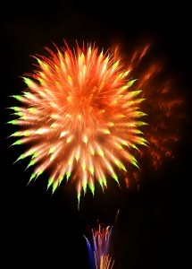 2014深谷市のグニョ花火