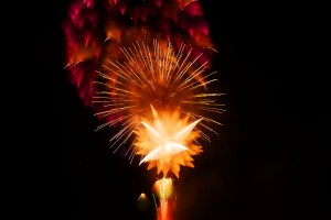 2014深谷市のグニョ花火