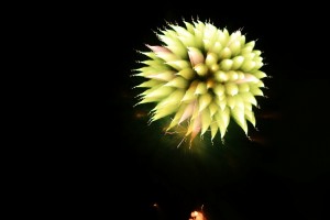 2014深谷市のグニョ花火