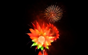 2014深谷市のグニョ花火