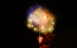 2014深谷市のグニョ花火