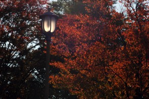 街灯と紅葉