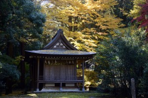 金鑚神社の建物と紅葉