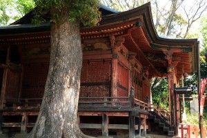 川越城と三芳野神社