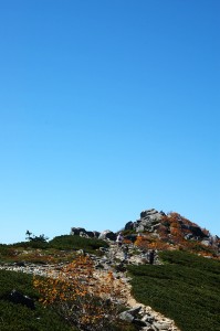 金峰山への道