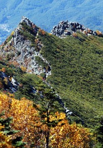 金峰山への道