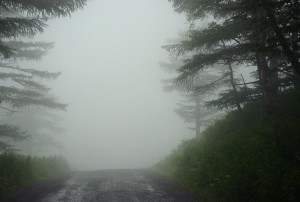 霧の山道