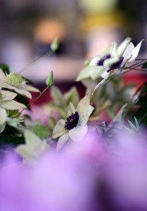 ガーデニング店の花