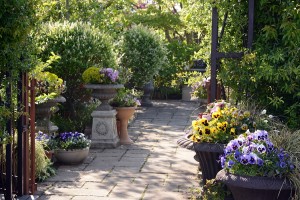 ガーデニング店の花