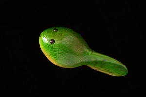 オタマジャクシ木工