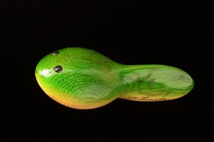 オタマジャクシ木工