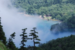 志賀山から大沼池2038