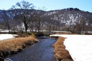 尾瀬ヶ原を流れる川