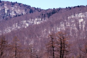 尾瀬ヶ原周辺の山