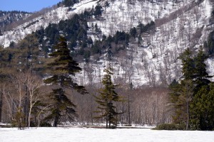 尾瀬ヶ原周辺の山