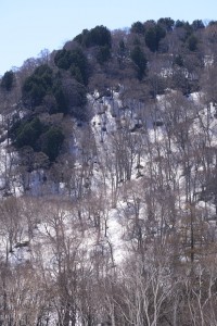 尾瀬ヶ原周辺の山