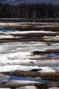 尾瀬ヶ原の斑雪