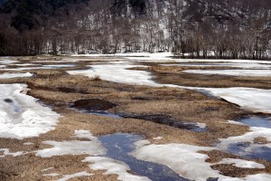 尾瀬ヶ原の斑雪