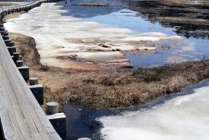 尾瀬ヶ原の斑雪
