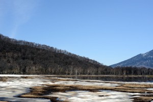 尾瀬ヶ原の斑雪