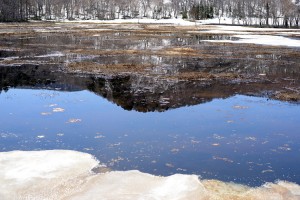  尾瀬ヶ原湖に写る山