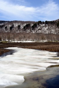 尾瀬の青い雪