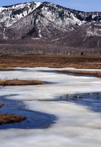 尾瀬の青い雪