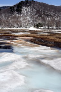 尾瀬の青い雪
