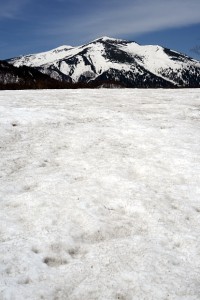 雪原と至仏山