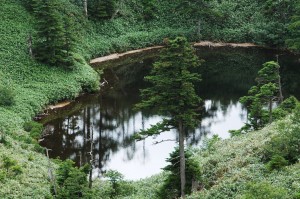 志賀高原・山中の池
