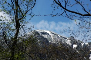 谷川岳周辺の山