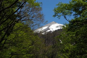 谷川岳周辺の山