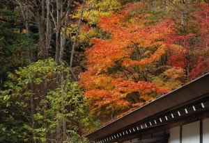 大陽寺の紅葉