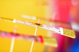 アートな竹トンボ